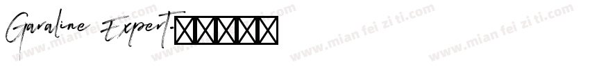 Garaline Expert字体转换